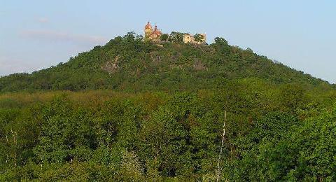 Zřícenina hradu Doubravská Hora