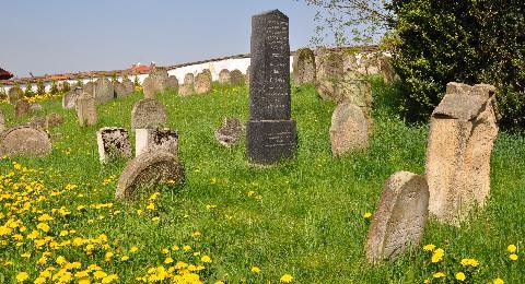 Židovský hřbitov ve Spaleném Poříčí